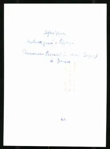 Fotografie Affaires Culturelles, Ansicht Bobangui / Zentralfrikanische Republik, Eingeborene Afrikaner beim Volkstanz