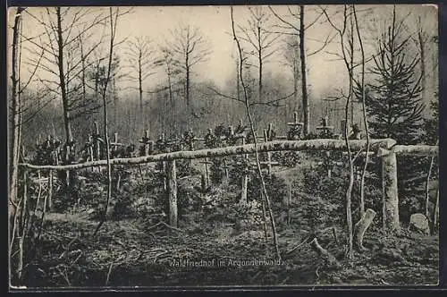 AK Waldfriedhof im Argonnenwald