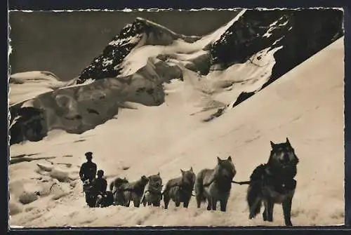 Foto-AK Emanuel Gyger: Jungfraujoch, Polarhunde ziehen einen Schlitten