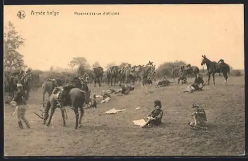 AK Reconnaissance d`officiers, Armée belge