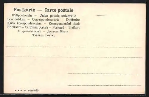 AK Äpfel und Weintrauben auf einer weissen Decke