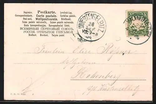 AK Orangen und Weintrauben mit einem Messer