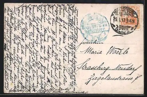 AK Schale mit Weintrauben neben Walnüssen, Obst