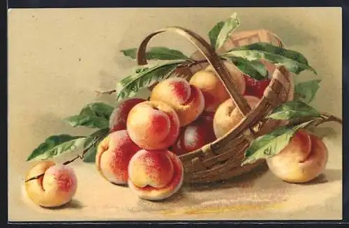 AK Korb mit Pfirsichen