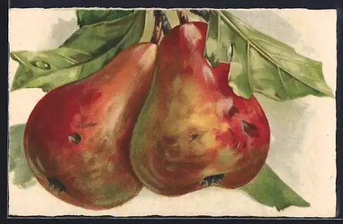 Künstler-AK Zwei reife Birnen am Baum