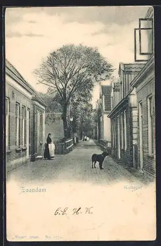 AK Zaandam, Kattegat