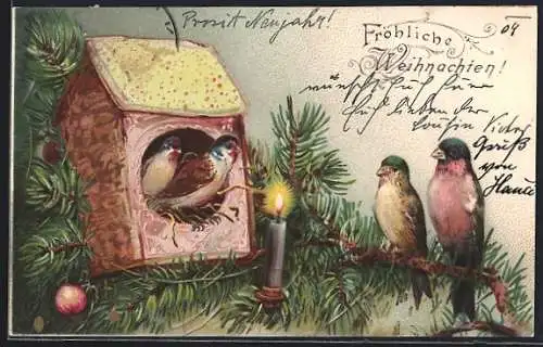 AK Weihnachten, Meisen auf einem Tannenzweig, Leuchtende Kerze
