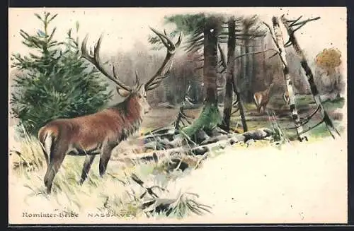 Künstler-AK Nassawen, Hirsch in der Rominter Heide