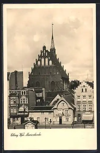 AK Elbing /Wpr., Marienkirche