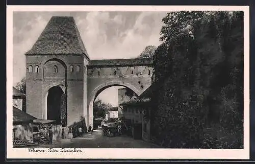 AK Thorn, Der Dansker