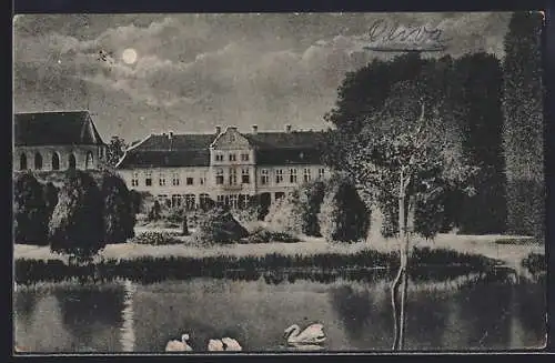 AK Oliva, das königliche Schloss bei Nacht