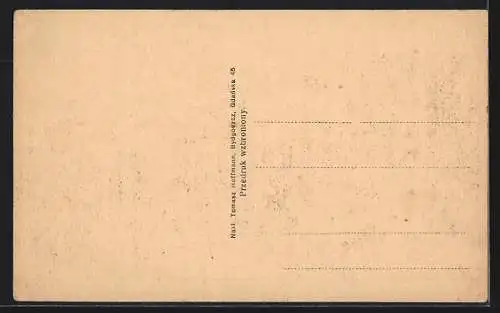 AK Torun, Most, Weichselbrücke