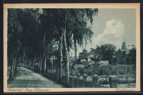 AK Berg-Dievenow, Teilansicht mit Dorfstrasse