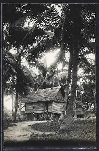 AK Taiping, Ortspartie mit Palmen