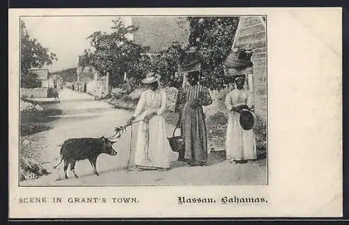 AK Nassau, Scene in Grant`s Town