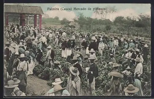AK Palmira, Mercado de plátanos
