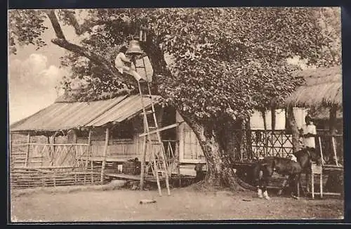 AK Lagangilang, Missionswohnung mit Pferd