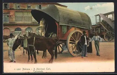 AK Habana, A Merchant Cart