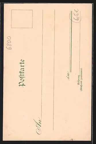 Lithographie Mannheim, Kaiserring aus der Vogelschau, Passepartout mit nächtlicher Flusspartie