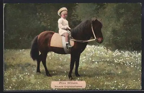 AK Prinz Wilhelm von Preussen, Ausritt mit Pony auf einer Wiese