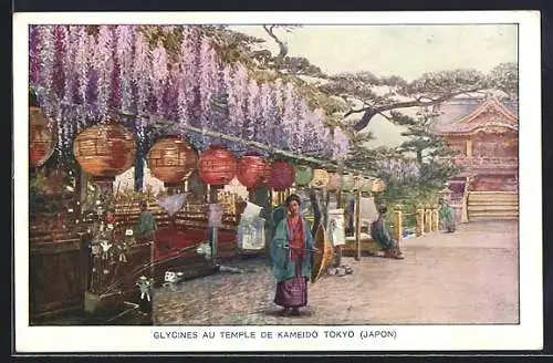 Künstler-AK Tokyo, Glycines au Temple de Kameido