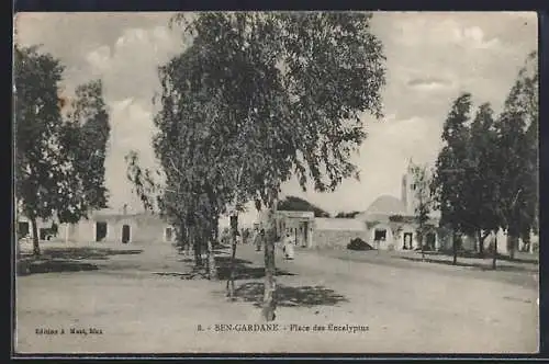 AK Ben-Gardane, Place des Eucalyptus