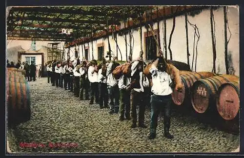 AK Madeira, Wine arriving in skins at Cossart Gordon & Co`s stores
