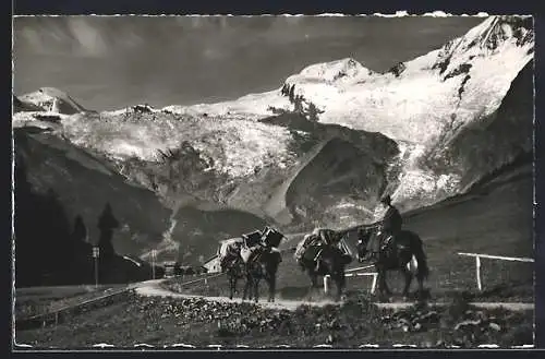 AK Saas-Fee, Maultierpost, Allalihorn u. Alphubel