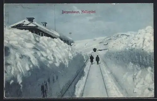 AK Hallingskei, Bergensbanen im Winter