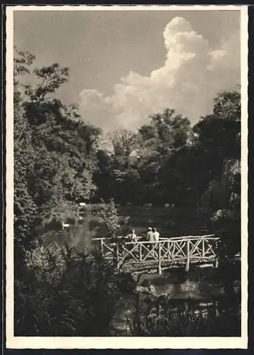 AK Gnesen, Teich im Stadtpark