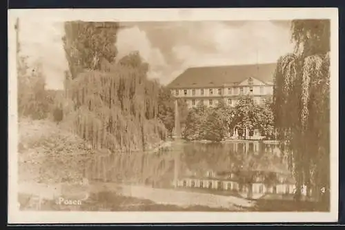 AK Posen, Park mit Teich und Fontäne