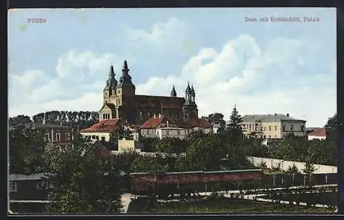 AK Posen, Dom mit Erzbischöfl. Palais