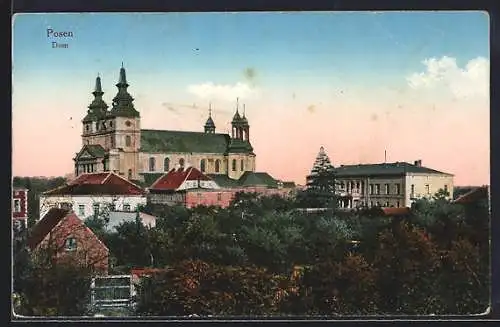 AK Posen, Dom mit Wohnhäusern im Vordergrund