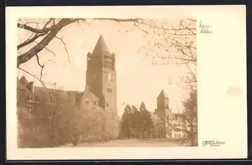 AK Posen / Poznan, Blick zum Schloss