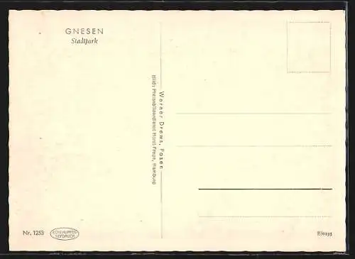 AK Gnesen, Stadtpark mit Anlagen