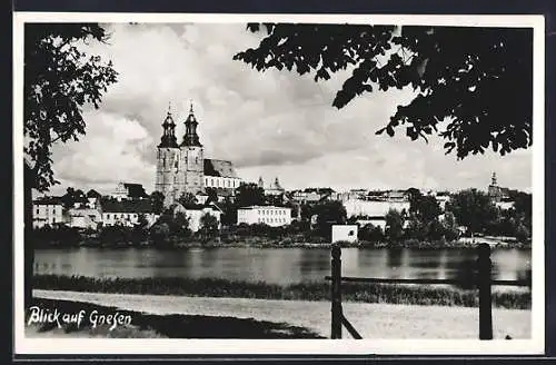 AK Gnesen, Ortspanorama mit Flussuferweg