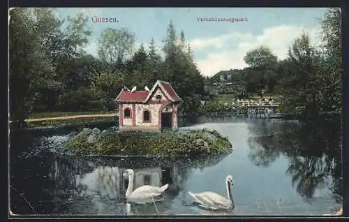 AK Gnesen, Verschönerungspark, Partie mit Inselchen