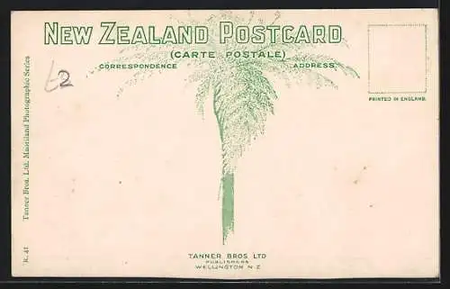 AK Whakarewarewa /Rotorua, Children Diving for Pennies