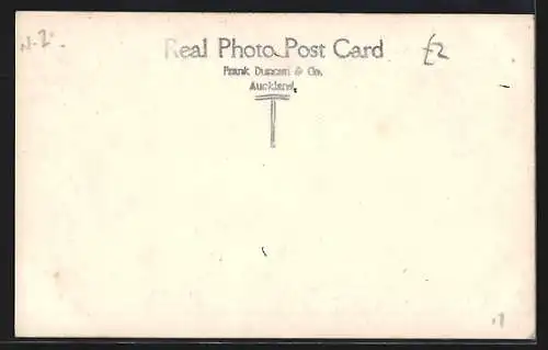 AK New Plymouth, Bird`s Eye View