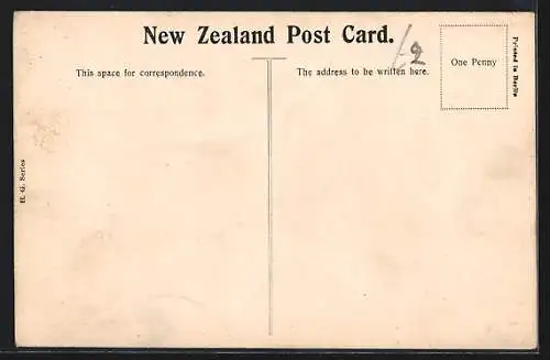 AK Nelson, Government Buildings