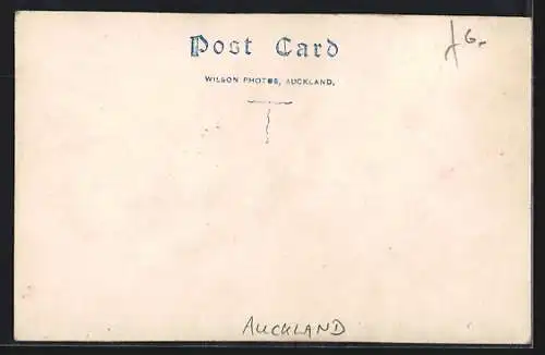 AK Auckland, View from St. Matthews