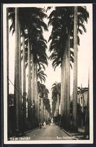 AK Rio de Janeiro, Rua Paysandu