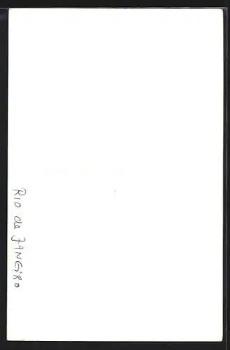 Foto-AK Rio de Janeiro, Strassenpartie mit Denkmal