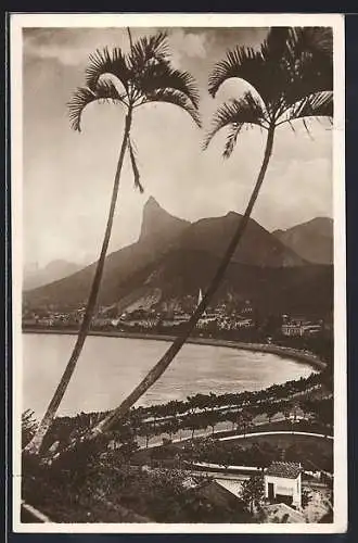 AK Rio de Janeiro, Panorama mit Palmen