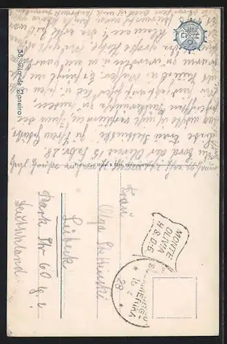 AK Rio de Janeiro, Panorama mit Palmen