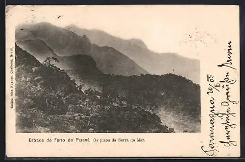 AK Estrada de Ferro do Paraná, Os pieos da Serra do Mar