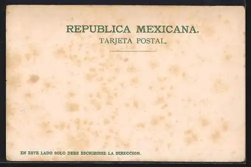 AK Mexico City, Statue of Chas 4