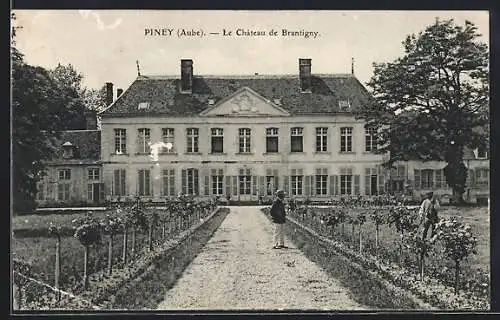 AK Piney, Le Château de Brantigny