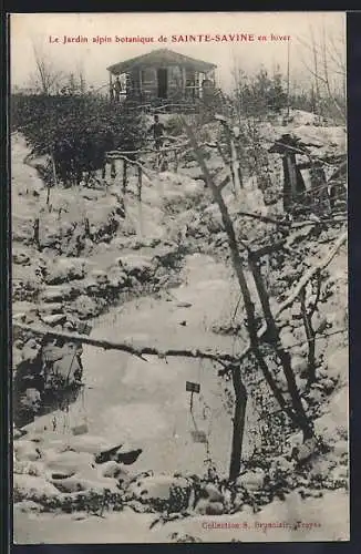 AK Sainte-Savine, Le Jardin alpin botanique en hiver
