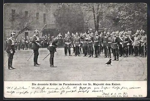 AK Die dressierte Krähe im Parademarsch vor Sr. Majestät Kaiser Wilhelm II.